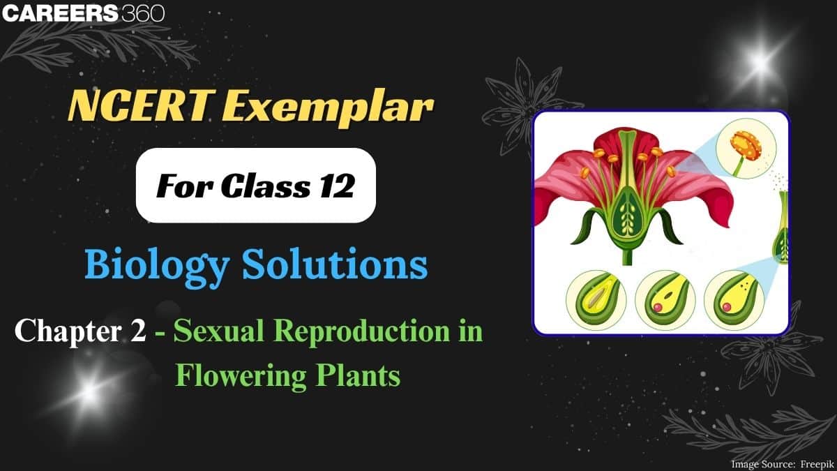 NCERT Exemplar Class 12 Biology Solutions Chapter 2 Sexual Reproduction in Flowering Plants